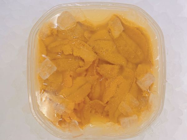 150G Salt water vacuumed Sea urchin